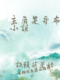 主角是哥布林的小说