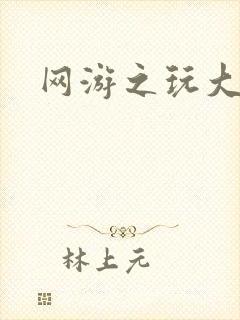 网游之玩大的