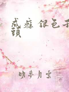 成瘾 银色子弹头