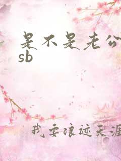 是不是老公的小sb