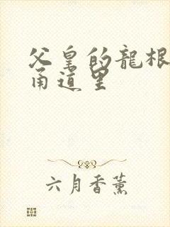 父皇的龙根在我甬道里