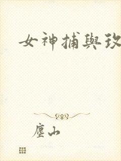 女神捕与玫瑰刀