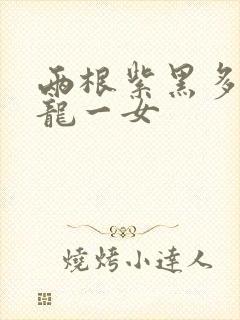 两根紫黑多男双龙一女