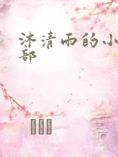 沐清雨的小说全部