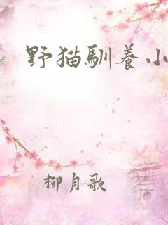 野猫驯养小说