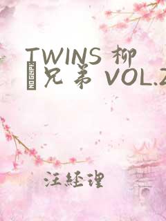 TWINS 柳澤兄弟 VOL.2