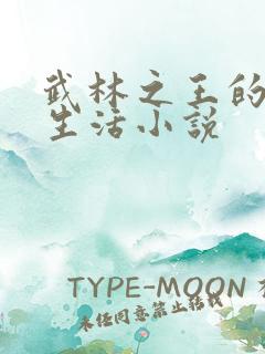 武林之王的退隐生活小说