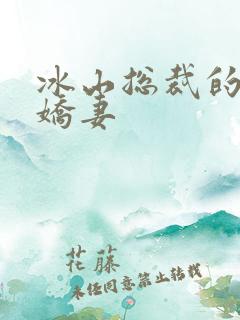冰山总裁的掠爱娇妻