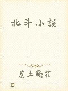 北斗小说