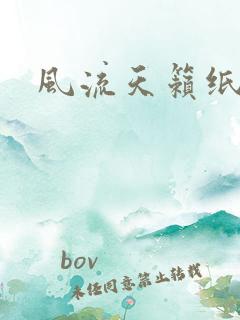 风流天籁纸鸢