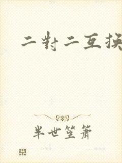 二对二互换共享