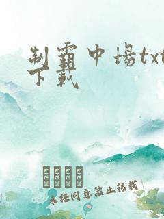 制霸中场txt下载