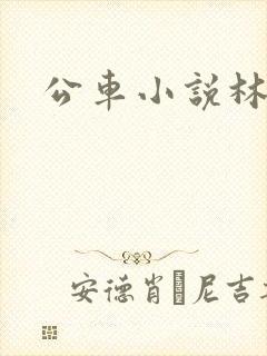 公车小说林蔓蔓
