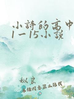 小诗的高中日记1一15小说