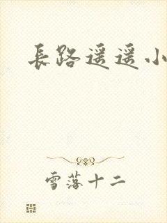 长路遥遥小说