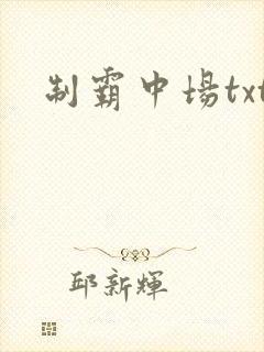 制霸中场txt