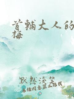 首辅大人的小青梅