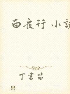 白夜行 小说