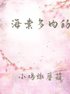 海棠多肉的文笔