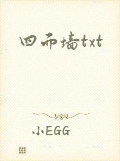 四面墙txt