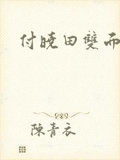 付晓田双面间谍