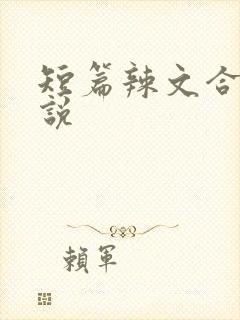 短篇辣文合集小说