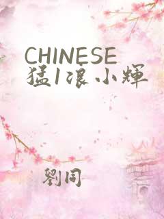 CHINESE猛1浪小辉