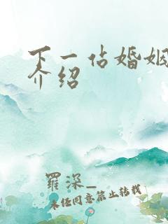 下一站婚姻剧情介绍