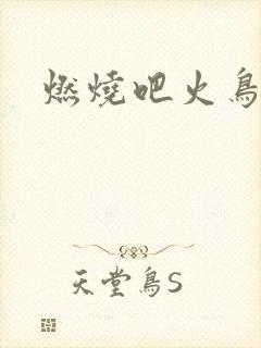 燃烧吧火鸟小说