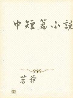 中短篇小说集