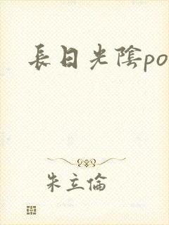 长日光阴po