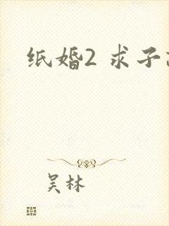 纸婚2 求子记