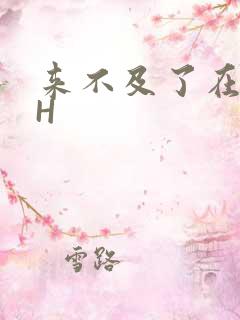 来不及了在车CH