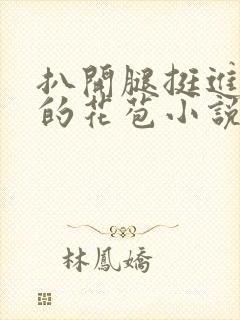 扒开腿挺进湿润的花苞小说