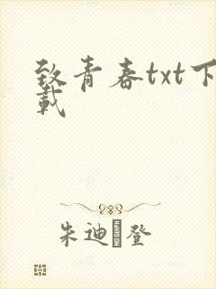 致青春txt下载
