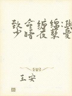 致命缠绵:与冷少暗夜孽爱