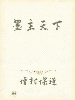 墨主天下