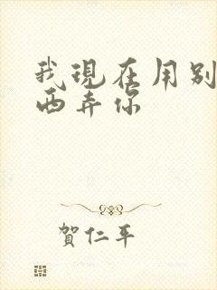 我现在用别的东西弄你