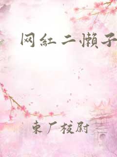 网红二懒子车祸