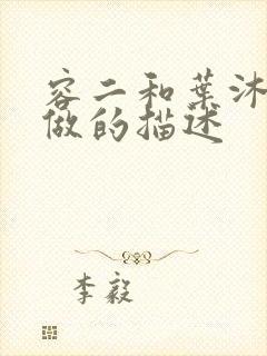 容二和叶沐走着做的描述