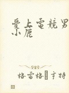 爱上电竞男神林小鹿