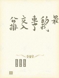 公交车的最后一排入了我