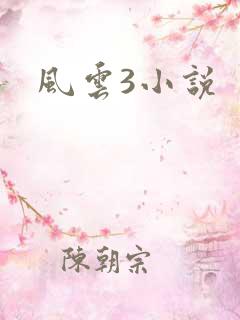 风云3小说