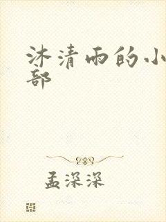 沐清雨的小说全部