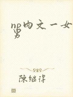 np肉文一女多男