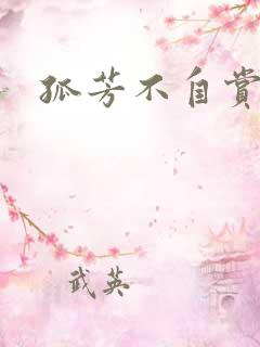 孤芳不自赏小说