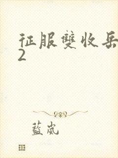 征服双收岳女两2