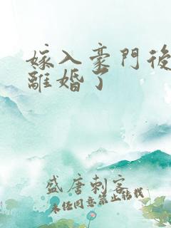 嫁入豪门后我又离婚了