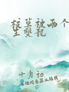 校草被两个体育生双龙