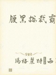 腹黑总裁霸道妻